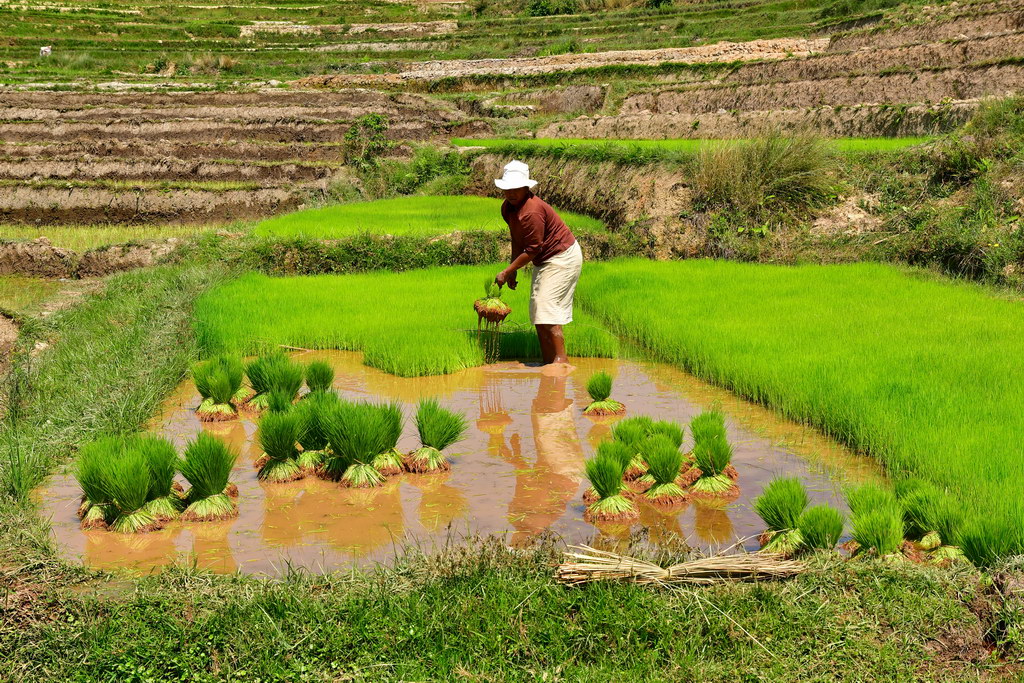 Ambositra to Antsirabe